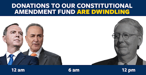 DONATIONS TO OUR CONSTITUTIONAL AMENDMENT FUND ARE DWINDLING