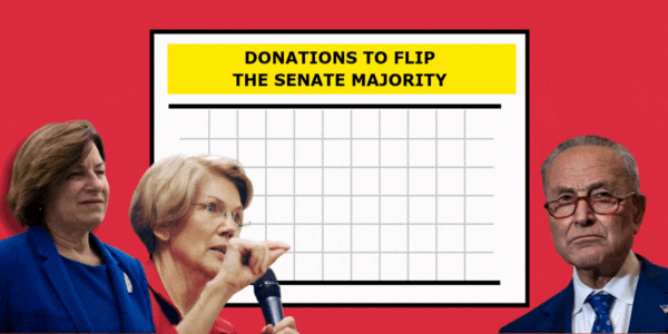 Donations to flip the Senate Majority falling