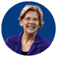 Senators Warren, Warnock, Klobuchar, Schumer, Schiff and Booker